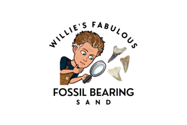 Willie's Fabulous Fossil Bearing Sand(Batch #1) - Image 2